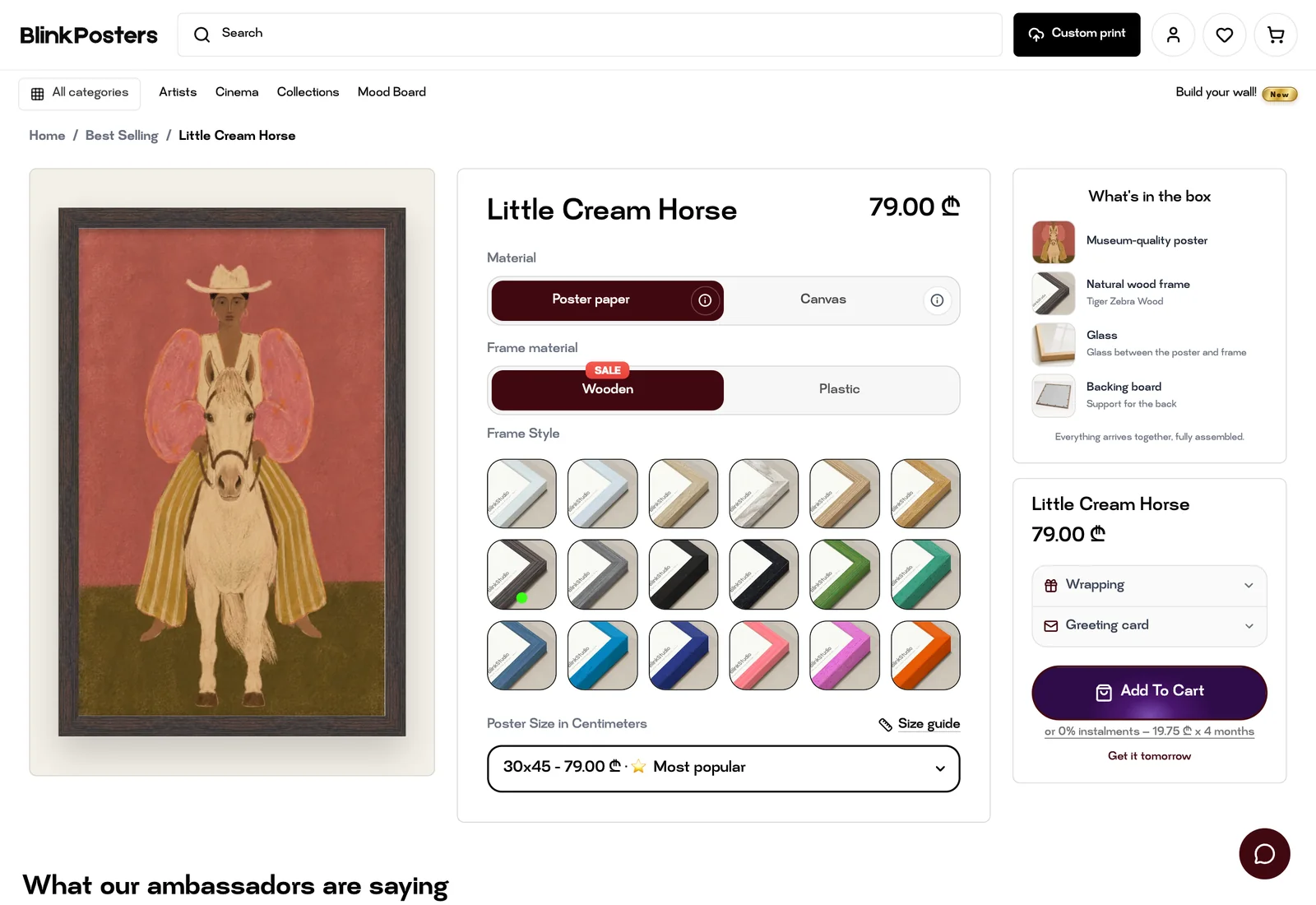 Blink Posters — Dynamic pricing and framed poster configuration